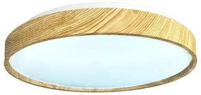 LED Dimmelhető mennyezeti lámpa OPAL LED/36W/230V 3000-6500K + távirányítás