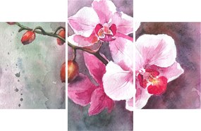 Kép - Orchideák, akvarell (90x60 cm)