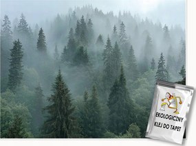 Fotótapéta Erdő A Ködben Fák 3D Természet Falra Hálószoba Nappali 150x105