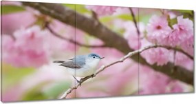 Vászonkép 180x90 Madarak