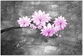 Poszterek 200x135 Magnólia virágok
