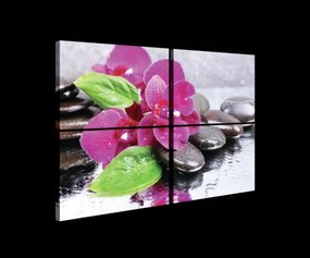 Vászonkép 120x80 Orchidea kövek spa zen relaxáció harmónia természet dekoráció