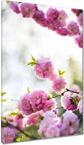 Vászonkép 80x120 Rózsaszín virágok Gyönyörű