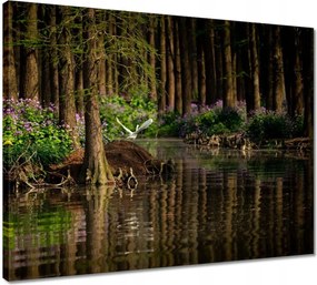 Vászonkép 50x40 Tájkép Látvány