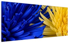 Kép - virág részlet (120x50 cm)