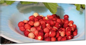 Vászonkép 180x90 Erdei szintek