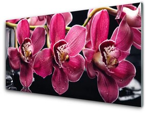 Üvegkép Orchidea Virág Nature Rügyek 100x50 cm 2 fogas