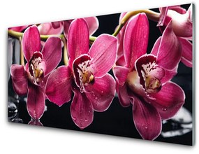 Üvegkép Orchidea Virág Nature Rügyek 125x50 cm