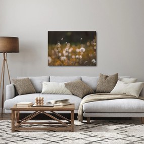 Kép - Gyapotfűvel borított rét N⁰2 (70x50 cm)
