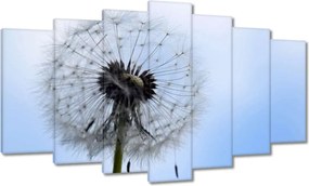 Képek 140x80 Hétköznapi pitypang