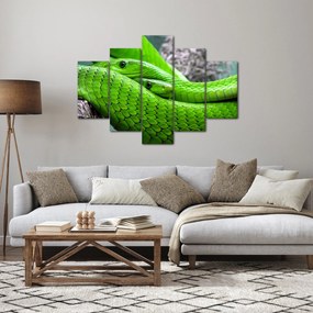 Zöld kígyók képe (150x105 cm)