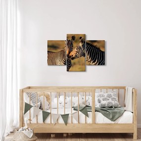Kép - Két zebra (90x60 cm)