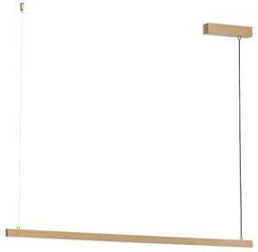 Argon 8836 - LED Csillár zsinóron MIAMI LED/37W/230V 3000K arany