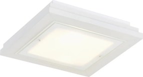 Argon TABOR 1865 Plafonlámpa 4x15W/E27 ip20