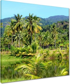 Vászonkép 50x50 Gyönyörű amazon