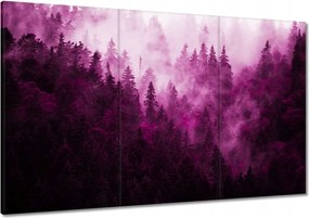 Vászonkép 120x80 Tájkép Rózsák Hegyek Köd