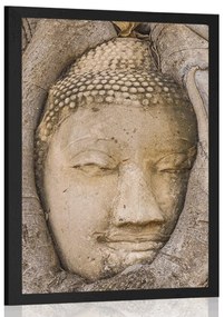 Poszter Buddha szent fügefája