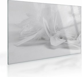 Üveg kép - Tollak (70x50 cm)