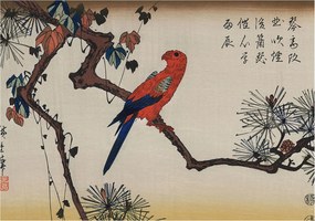 Divatos Flizelin tapéta 3D ragasztóval Fali madár az ágon 312x219 Ragasztó