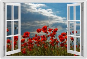 Poszterek 90x60 Pipacs Virágok