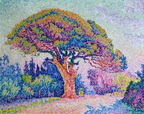 Reprodukció The Pine Tree at St. Tropez, 1909, Paul Signac