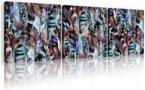 Vászonkép 75x25 Tollak textúra természet repülés szabadság könnyedség absztrakt minta