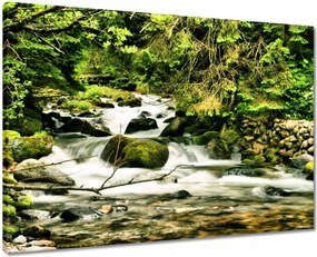 Vászonkép 70x50 Folyó a Tátrában