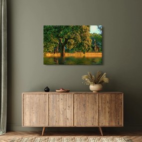 Zsiráf a természetben képe (90x60 cm)