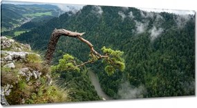 Festmények 115x55 Tájkép Sólyomkő