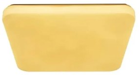 LED Mennyezeti lámpa OPAL LED/48W/230V 3000-6500K + távirányítás