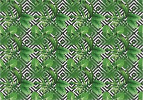 Fotótapéta Trópusok geometria levelek vinil hatású 520x318 +ragasztó