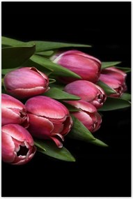 Poszterek 60x90 Zamatos tulipánok