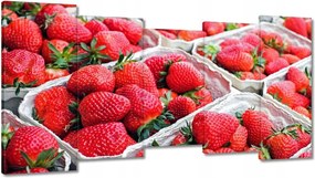 Festmények 150x80 Konyhai képek Forradalmak