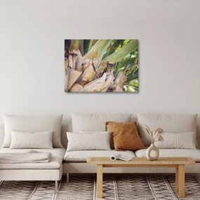 Mókus képe a fán (70x50 cm)