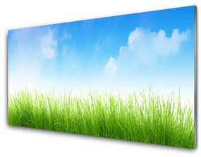 Üvegkép Grass Nature Plant 120x60cm 2 fogas