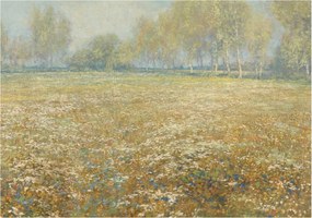 Fotótapéta Flizelina Nappali és Hálószoba Irodába Virágzó mező 208x146 Ragasztó