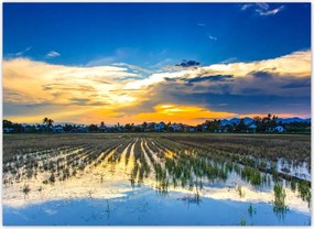 Fotótapéták flizelina 254x184 Kilátás Tájkép