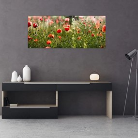 Pipacsok képe (120x50 cm)