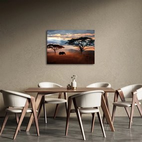Kép - Serengeti Nemzeti Park, Tanzánia, Afrika (70x50 cm)