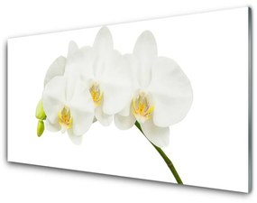 Üvegkép Rügyek orchidea virágok Természet 100x50 cm