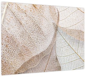 Kép - Bézs levelek (70x50 cm)