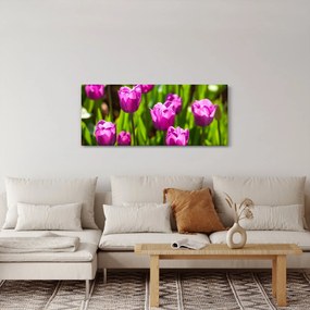 Tulipánok a réten képe (120x50 cm)