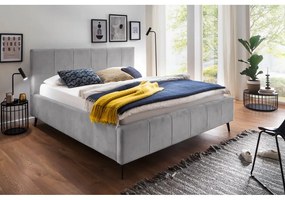 Világosszürke kárpitozott franciaágy tárolóhellyel ágyráccsal 180x200 cm Lizzano – Meise Möbel