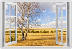 Poszterek 120x80 Nyírfa a mezőn Tájkép