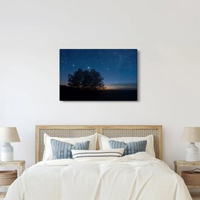 A fák éjjel képe (90x60 cm)