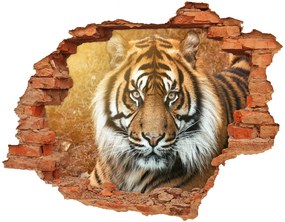 3d fali matrica lyuk a falban Bengáli tigris nd-c-116603957