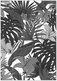 Poszterek 70x100 Fekete-fehér monstera