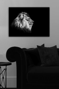 Vászonkép, 50×70 cm – TR529TCR2103