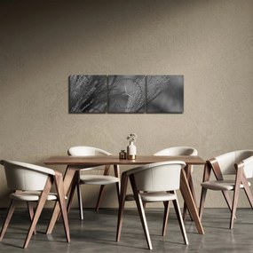 Kép - Szárított pampafű (órával) (90x30 cm)