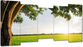 Festmények 150x80 Misztikus naplemente